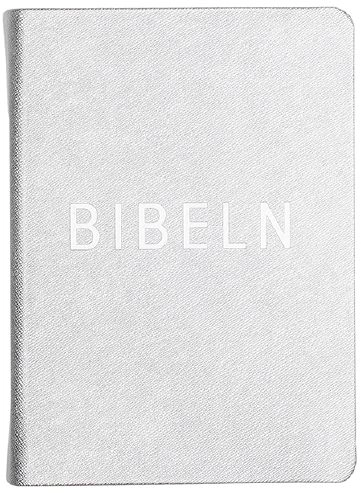 Bibel konfirmand silver