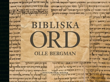 Bibliska ord; Olle Bergman; 2017