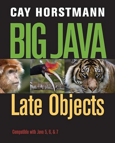 Big Java: Late Objects 1e + WileyPLUS Registration Card