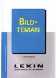 Bildteman Lexin; Kiros Fre Woldu; 2004
