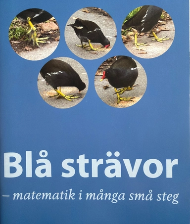 Blå strävor : matematik i många små steg; Berit Bergius; 2016