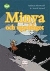 BoA Minya och uppdraget Inspiration; Andreas Hernvald; 2007