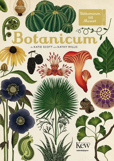 Botanicum; Kathy Willis; 2017