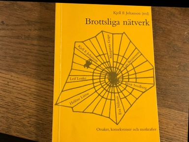 Brottsliga nätverk : orsaker, konsekvenser och motkrafter; Kjell E. Johanson; 1998