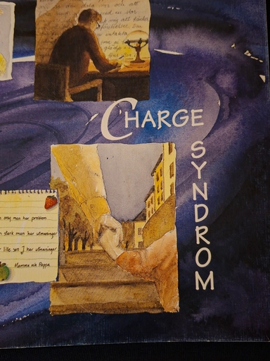 Charge syndrom : medfödda multipla skador : förslag till pedagogiska åtgärder; Ulla Holmqvist-Äng; 1996