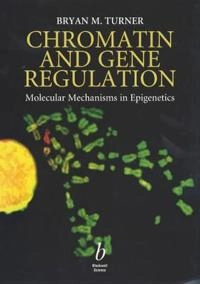 Chromatin and gene regulation - mechanisms in epigenetics
