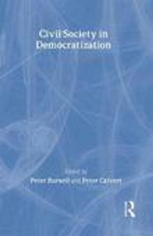 Civil society in democratization