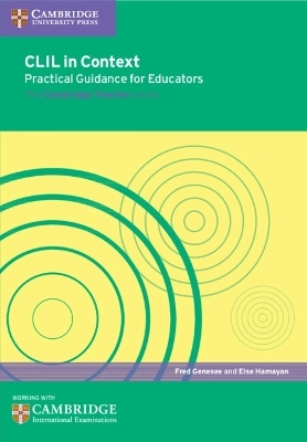 CLIL in context : practical guidance for educators
