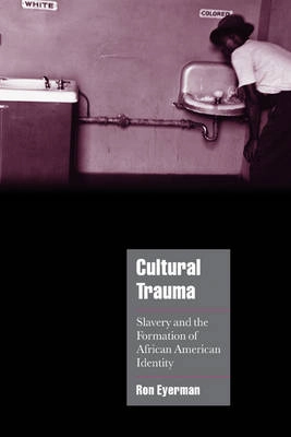 Cultural trauma : slavery and the formation of African American identity