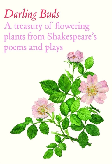 Darling Buds; William Shakespeare; 2026