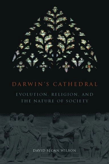 Darwin's cathedral : evolution, religion, and the nature of society; David Sloan. Wilson; 2002