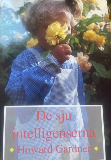 De sju intelligenserna; Howard Gardner; 1994