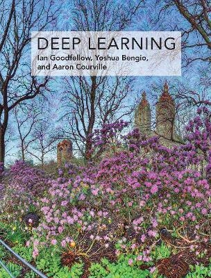 Deep learning; Ian Goodfellow; 2016