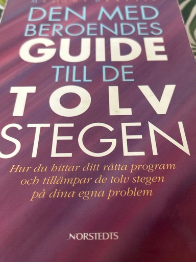 Den medberoendes guide till de tolv stegen : hur du hittar ditt rätta program och tillämpar de tolv stegen på dina egna probl; Melody Beattie; 1992