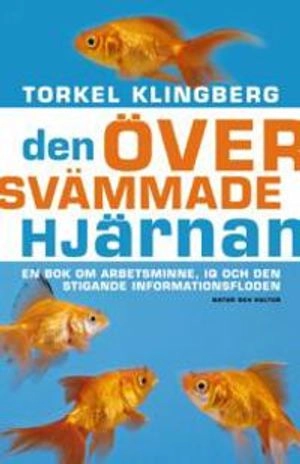 Den översvämmade hjärnan : en bok om arbetsminne, IQ och den stigande informationsfloden