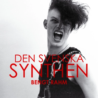 Den svenska synthen; Bengt Rahm; 2012
