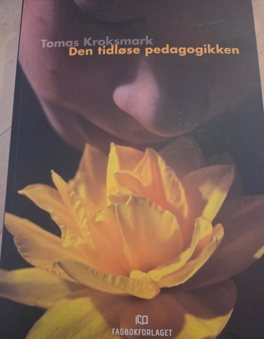 Den tidlöse pedagogikken
