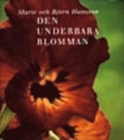 Den underbara blomman; Marie Hansson, Björn Hansson; 2000