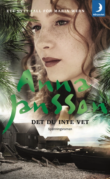 Det du inte vet; Anna Jansson; 2018