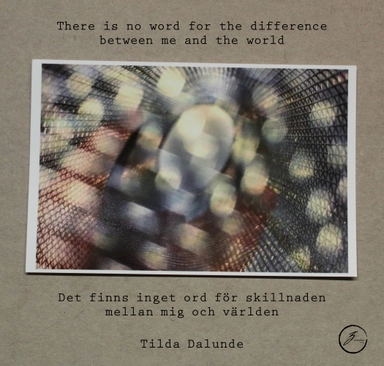 Det finns inget ord för skillnaden mellan mig och världen / There is no word for the difference between me and the world