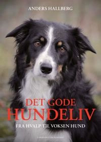 Det gode hundeliv : fra hvalp til voksen hund; Anders Hallgren; 2022