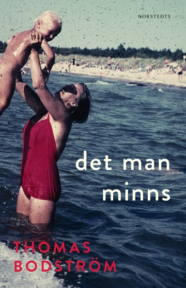 Det man minns; Thomas Bodström; 2014