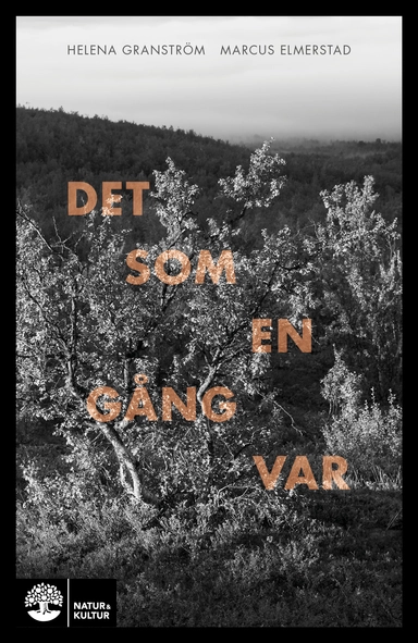 Det som en gång var; Helena Granström; 2018