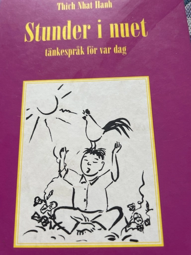 Din egen kraft : om vägen till inre frid; Louise L. Hay; 1993