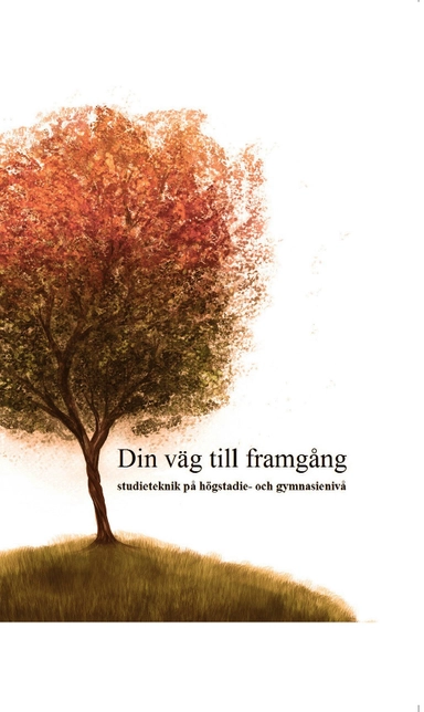 Din väg till framgång : studieteknik på högstadie- och gymnasienivå; Martin Tidsten, Simon Ellström Johansson, Hugo Weinstock, Kristoffer Lieberg, Axel Åström; 2016