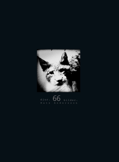 Djur. 66 bilder.