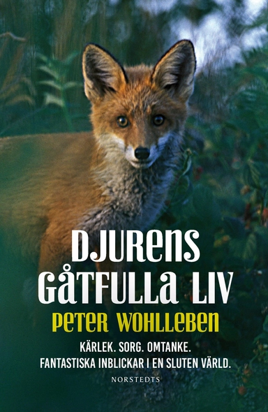 Djurens gåtfulla liv - Kärlek. Sorg. Omtanke : fantastiska inblickar i en sluten värld; Peter Wohlleben; 2017