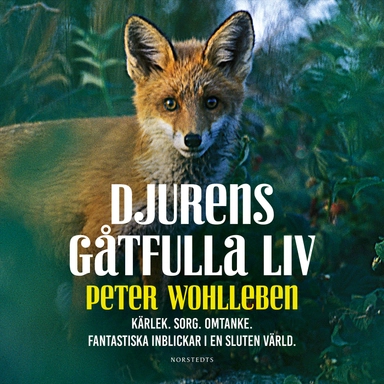 Djurens gåtfulla liv - Kärlek. Sorg. Omtanke : fantastiska inblickar i en sluten värld; Peter Wohlleben; 2019