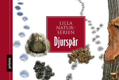 Djurspår; Ulf Svedberg, Tore Fonstad; 2006