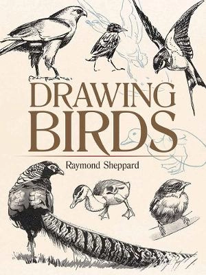 Drawing birds