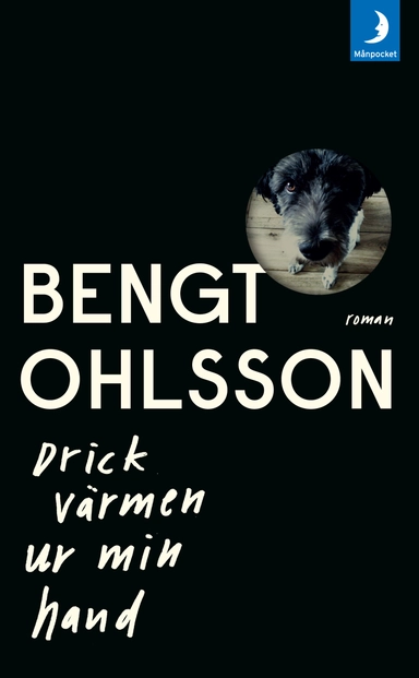Drick värmen ur min hand; Bengt Ohlsson; 2017