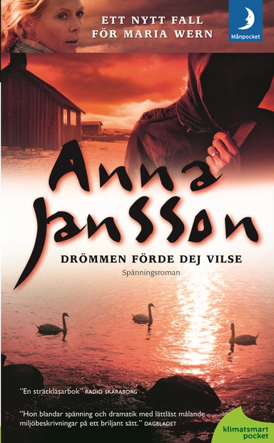 Drömmen förde dej vilse; Anna Jansson; 2011
