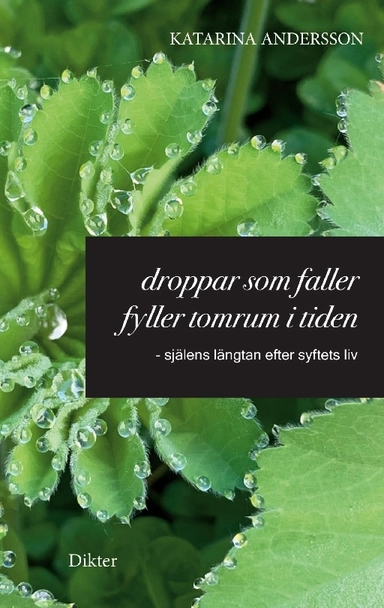 Droppar som faller fyller tomrum i tiden : själens längtan efter syftets liv
