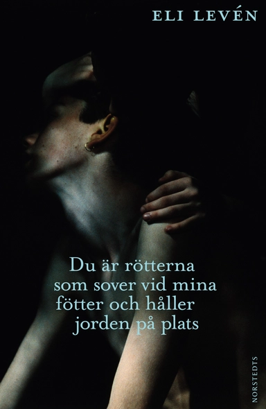 Du är rötterna som sover vid mina fötter och håller jorden på plats; Eli Levén; 2010