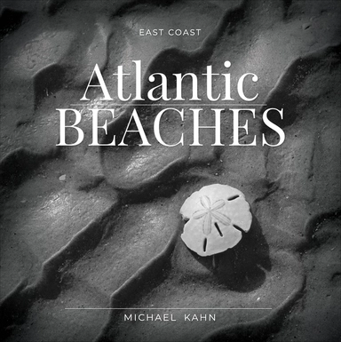 East Coast Atlantic Beaches; Michael Kahn; 2020