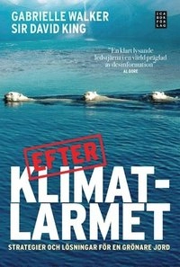 Efter klimatlarmet : strategier och lösningar för en grönare jord; Sir David King, Gabrielle Walker; 2008