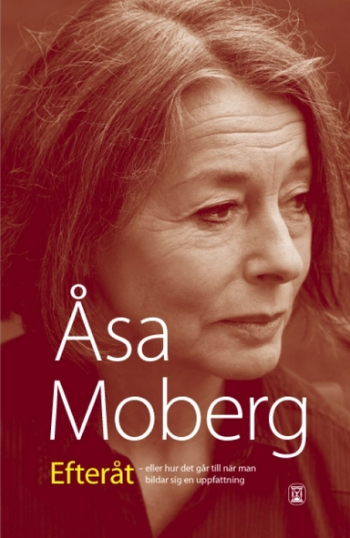 Efteråt : eller hur det går till när man bildar sig en uppfattning