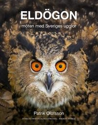 Eldögon – möten med Sveriges ugglor; Patrik Olofsson; 2015