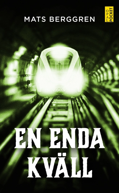 En enda kväll; Mats Berggren; 2018