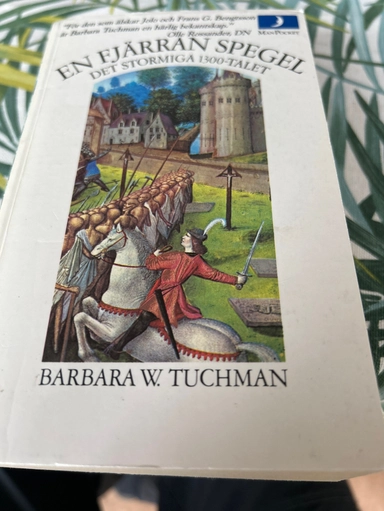 En fjärran spegel : det stormiga 1300-talet; Tuchman; 1983