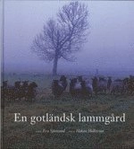 En gotländsk lammgård : Nygårds i Buttle; Eva Sjöstrand; 2002