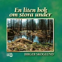 En liten bok om stora under; Birger Skoglund; 2004