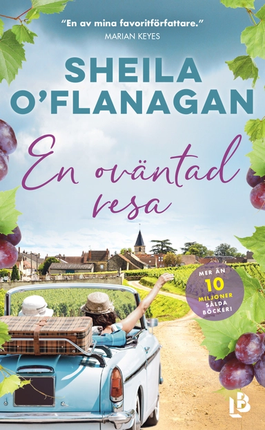En oväntad resa; Sheila O’Flanagan; 2022