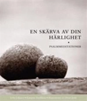 En skärva av din härlighet  : psalmmeditationer