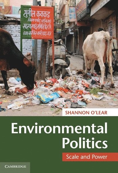 Environmental politics : scale and power; Shannon O'Lear; 2010