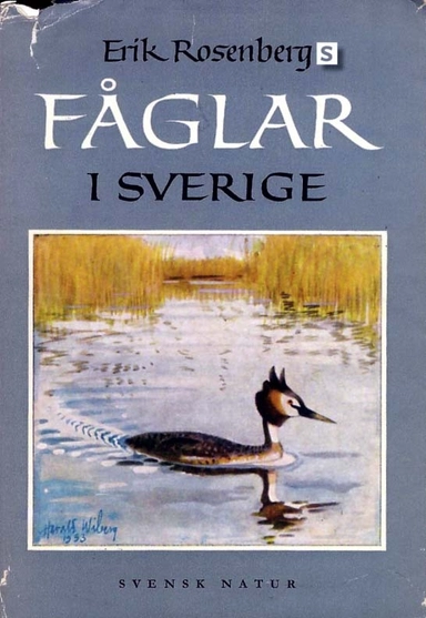 Erik Rosenbergs fåglar i Sverige; Erik Rosenberg, Bengt Emil Johnson, Staffan Söderblom, Sten Wahlström; 2011